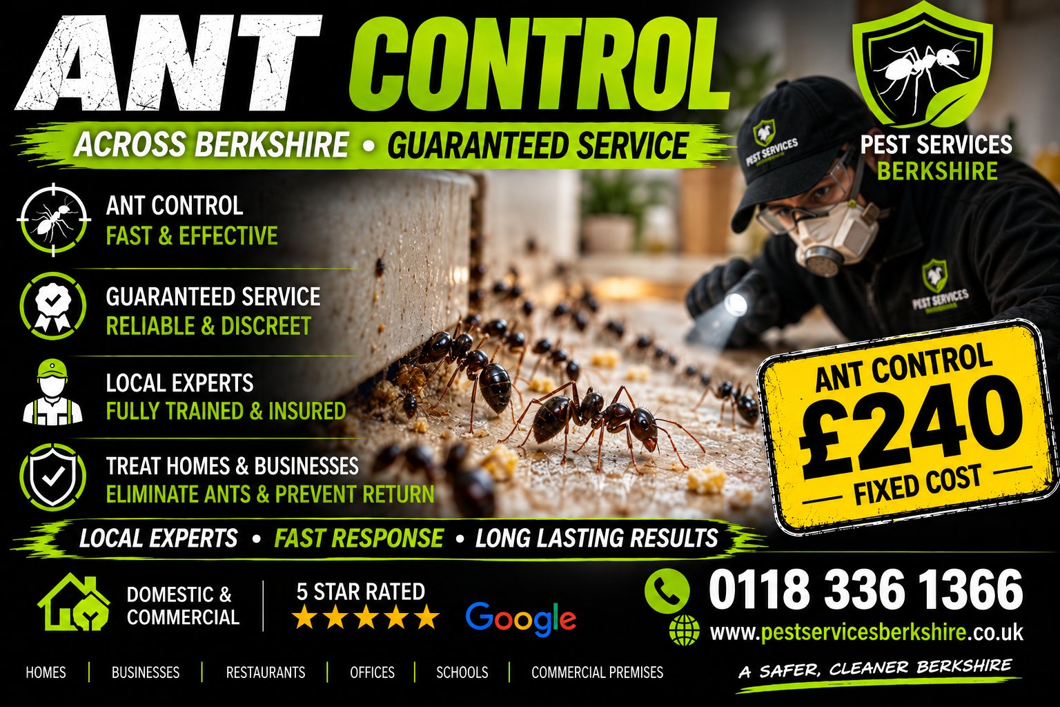 Ant control across Berkshire &mdash; Pest Services Berkshire