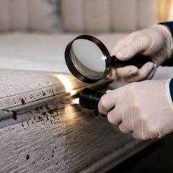 Technician examining the edge of a divan base with a torch and a magnifying glass