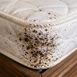Heavy dark spotting across the corner and welt of a mattress