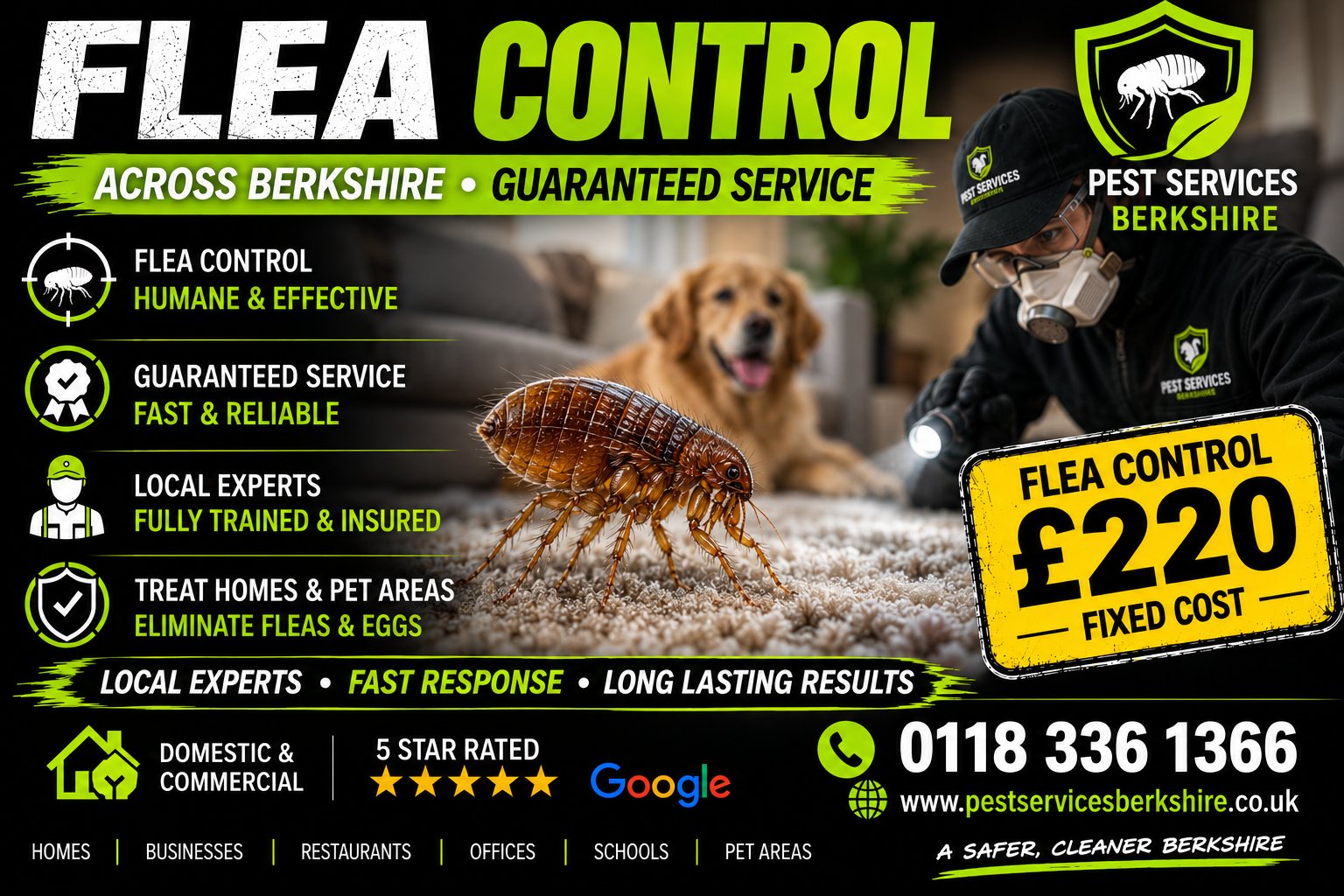 Flea control across Berkshire &mdash; Pest Services Berkshire