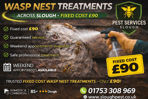 Wasp nest treatments slough
